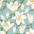 Vector floral seamless pattern with white lilies. Royalty Free Stock Photo