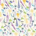 Vector floral seamless pattern with wild flowers Royalty Free Stock Photo