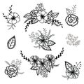 Vector floral set. Graphic collection with leaves and flowers, drawing elements. Royalty Free Stock Photo