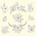 Vector floral set. Graphic collection with leaves and flowers, drawing elements. Royalty Free Stock Photo