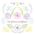 Vector floral set. Graphic collection with leaves and flowers, drawing elements. Royalty Free Stock Photo