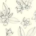 Vector floral vintage seamless pattern. Hand drawn botanical tex