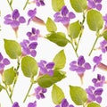 Vector floral watercolor texture pattern.Seamless pattern can be used for wallpaper,pattern fills,web page background