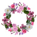 Vector floral wreath. Petunia, bells, wild rose, mallow with buds and leaves. In the center there is a place for text. Isolated