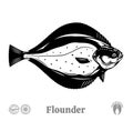 Vector flounder fish illustration Royalty Free Stock Photo