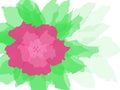 Vector flower background