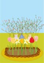 vector a flower-bed with tulips, narcissuses, iris