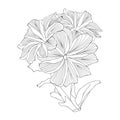 Blossom flwer, flower line art, Cute flower coloring pages, flower coloring page for adults,