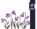 Vector flower greeting banner with harebell and ribbon. International Women`s Day. Flat style.