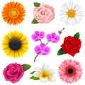 Vector Flower Icons Royalty Free Stock Photo