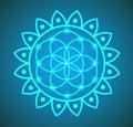 Vector Flower of Life Sacred Geometry in Lotus Flower Illustration