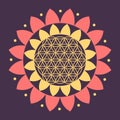 Vector Flower of Life Symbol on a Natural Background