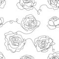 Vector flower linear seamless background, roses one, continuous line pattern, hand drawn style. Monoline doodle. Royalty Free Stock Photo