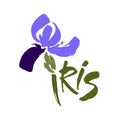 Vector flower logo. Floral background. Calligraphy ink. Stylized calligraphic ink iris.