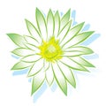 Vector flower lotus