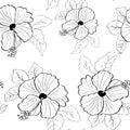 Vector flower pink hibiscus seamless pattern Royalty Free Stock Photo