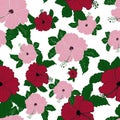 Vector flower pink hibiscus seamless pattern Royalty Free Stock Photo