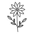 flower plant line design collection (leaf, flower, herb,) created as line Royalty Free Stock Photo