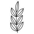 flower plant line design collection (leaf, flower, herb,) created as line Royalty Free Stock Photo