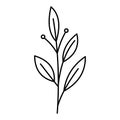 flower plant line design collection (leaf, flower, herb,) created as line Royalty Free Stock Photo