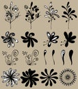 Vector flower set