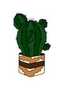 Vector flowerpot icon. Home Indoor Plants. Houseplants in Pots. Doodle illustration, clipart. Cactus Tropical plant