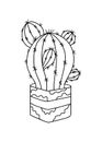 Vector flowerpot icon. Home Indoor Plants. Houseplants in Pots. Doodle illustration, clipart. Outline icon. Cactus