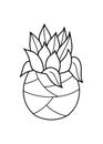 Vector flowerpot icon. Home Indoor Plants. Houseplants in Pots. Doodle illustration, clipart. Succulent Outline icon.