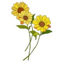 Vector flowers bouquet of yellow gerbera and greenery. Hand painted floral illustration isolated on white background