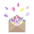 Vector flowers in envelope. Pink, yellow and purple tulips in pa