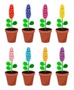 vector flowers in pots, potted home plants