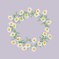 Vector flowers set. Beautiful wreath on purple background. Elegant floral daisy collection