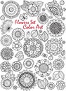 Vector Flowers Set. Color Art. Coloring book for adult meditation and relax. Royalty Free Stock Photo