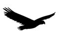 Vector flying American eagle silhouette Royalty Free Stock Photo