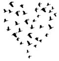 Vector Flying Birds In a Heart Shape. Royalty Free Stock Photo