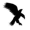 Vector flying eagle silhouette Royalty Free Stock Photo