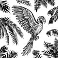 Vector flying parrot with palm leaves. Tropical summer design with black silhouette leaves and macaw.