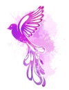 Vector flying watercolor violet bird with sprays isolated from background. Gentle symbol of freedom. Design element