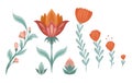 Vector folk art set of flowers isolated from the background. Floral geometric collection. Natural elements Royalty Free Stock Photo