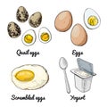 Vector food icons. Colored sketch of food products. Eggs, quail eggs, scrambled eggs, yogurt