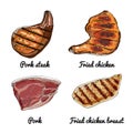 Vector food icons of meat. Colored sketch of food products. Pork steak, fried chicken, pork