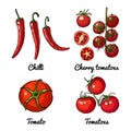 Vector food icons of vegetables and spices, herbs. Colored sketch of food products. Chili peppers, cherry tomatoes Royalty Free Stock Photo