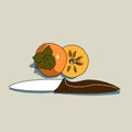 Vector food illustration of Persimmon and knife. Top and middle round of ripe delicious fruit with cutlery. Design for