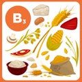 Vector food with vitamin B3.