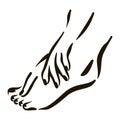 Vector foot care Icon illustration. Woman feet symbol on white background Royalty Free Stock Photo