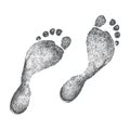 Vector Footprint tracks Royalty Free Stock Photo