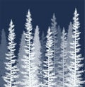 Vector coniferous trees covered with snow