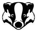 Vector forest badger head