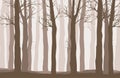 Vector forest landscape with brown silhouettes of trees