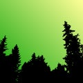 Vector forest landscape silhouette. Realistic trees, woods silhouettes in night and evening sky. Outdoor nature scene